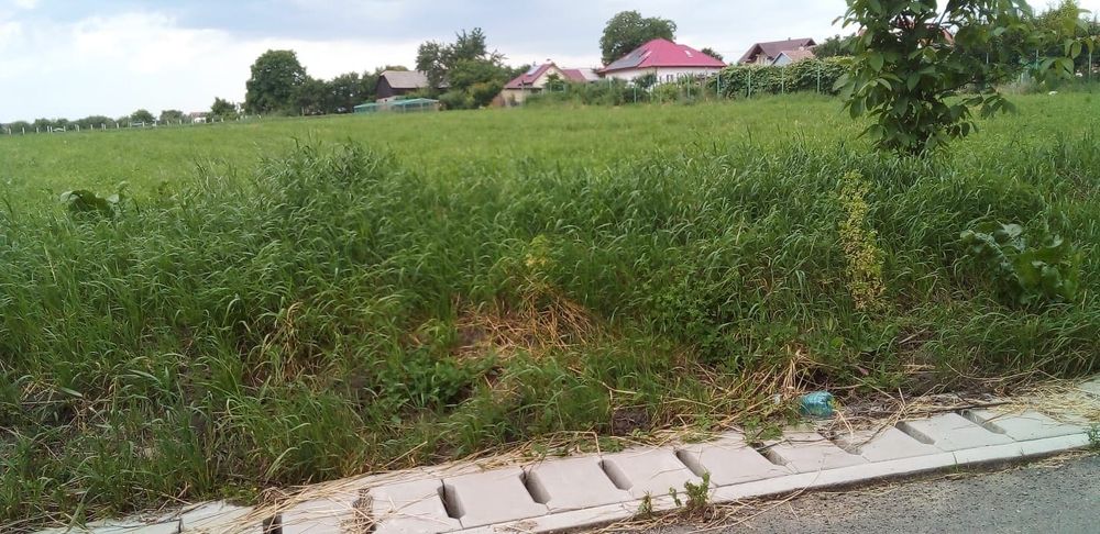 Teren intravilan de vanzare 1500 mp front 29in oraș salcea județ Suceava strada paieni Nr 30 A