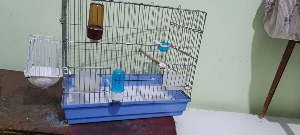 Клетка сотилади закони 2 та