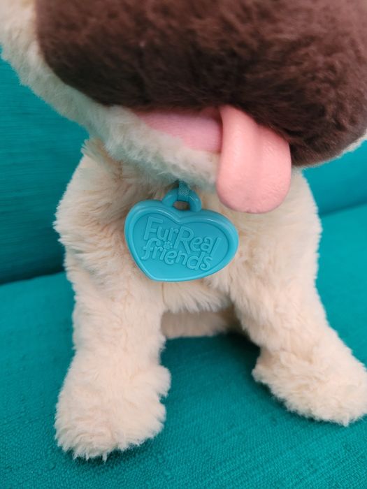 Plus interactiv Furreal catel