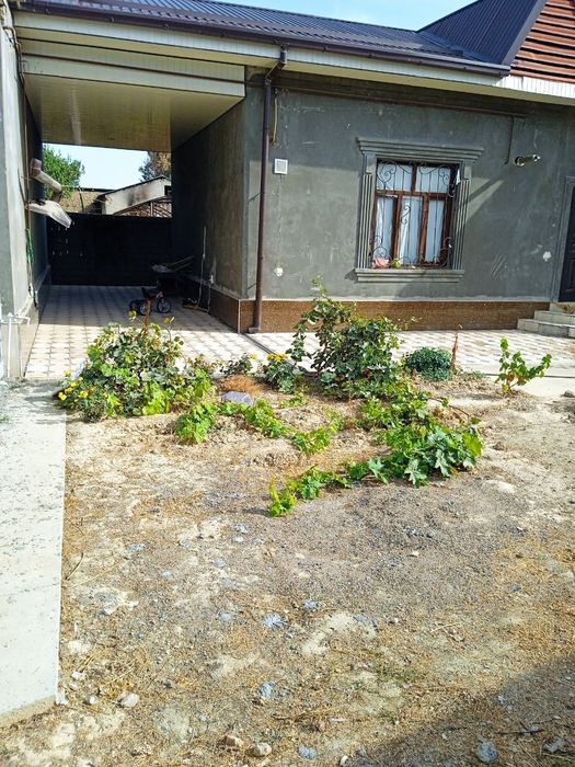 (22) Сдаётся Участок Эркин постдан 4 км утганда жойлашган!