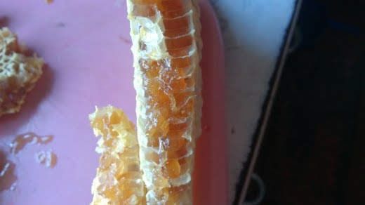 Продам Мёд натуральный