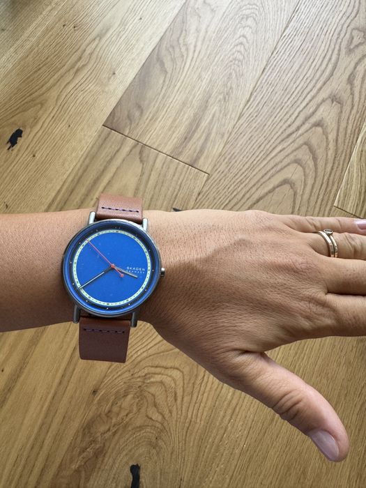 Ceas Skagen Signatur Blue Dial SKW6899