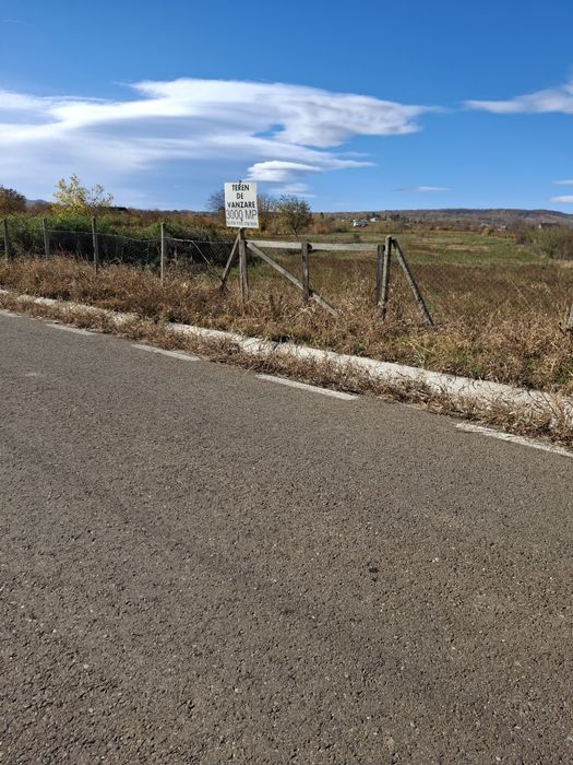 Vând teren intravilan 3OOO mp