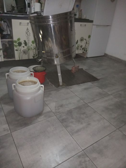 Miere albine angro