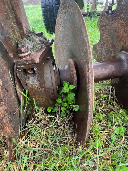 Disc 3,2 greu 3500 lei