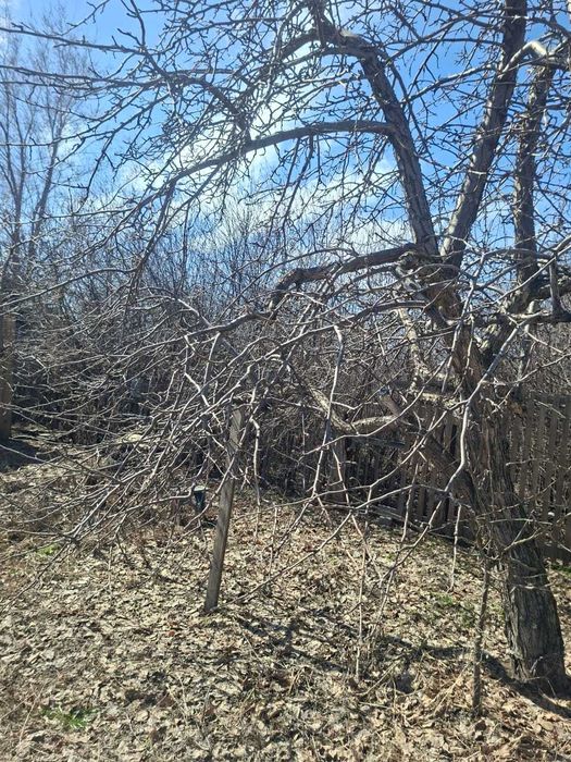 Продам дачу сад здоровья