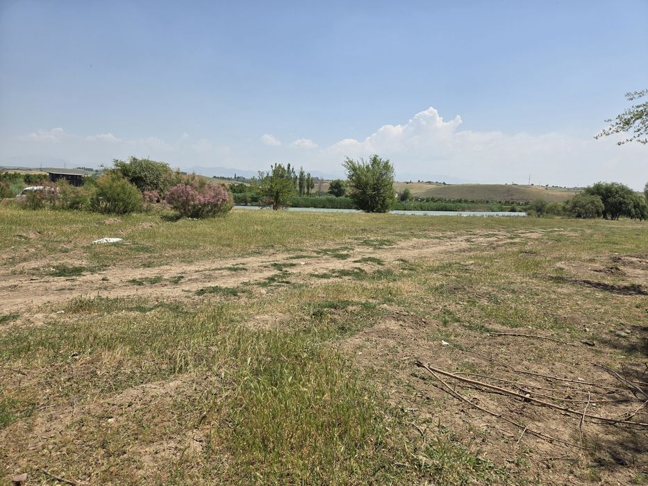 Дача  сотилади 8 сотих