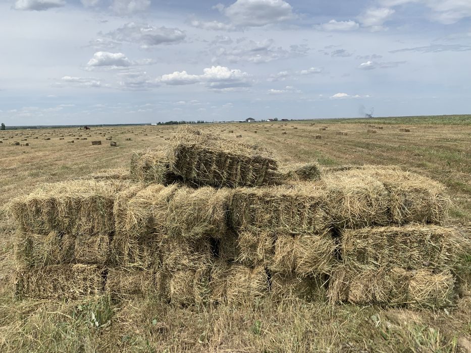 Продам сено летний покос