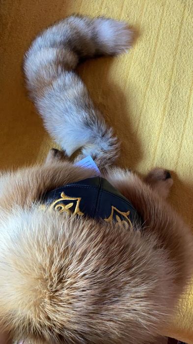 Малахай тұмақ бас киім