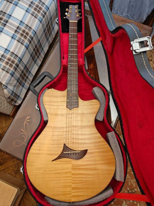 Chitara Electrica - Roberto Fontanot - Punto G