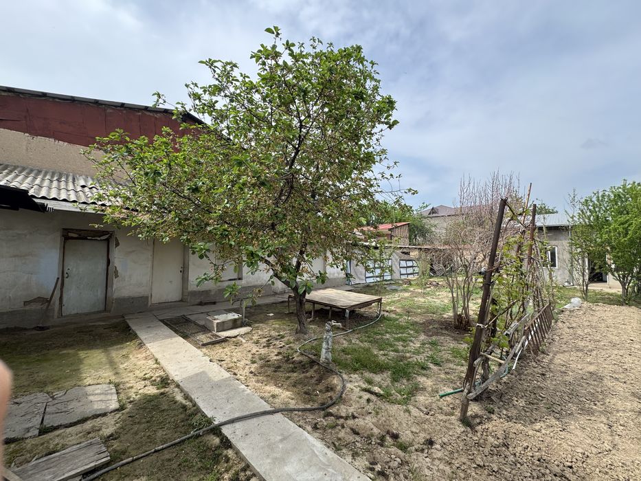 Karimada mirza golip kochasida yer sotiladi