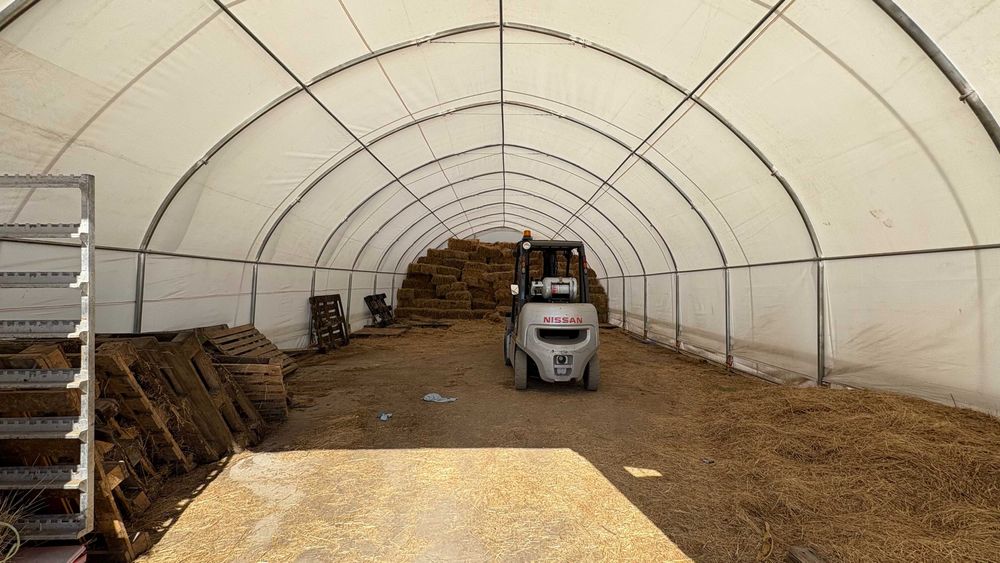 Продава се Парцел в с. Пробуда, Област Търговище - 38000 кв.м за 60 €/кв.м - Снимка #15