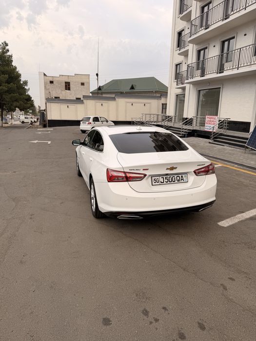 Malibu premier  2021й холти зур
