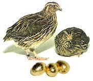 Бедана макиёнларига заказ оламиз bedona перепелка