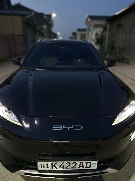 BYD chempion honor 2024