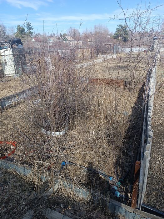 Продам дачу краснопартизанское СО