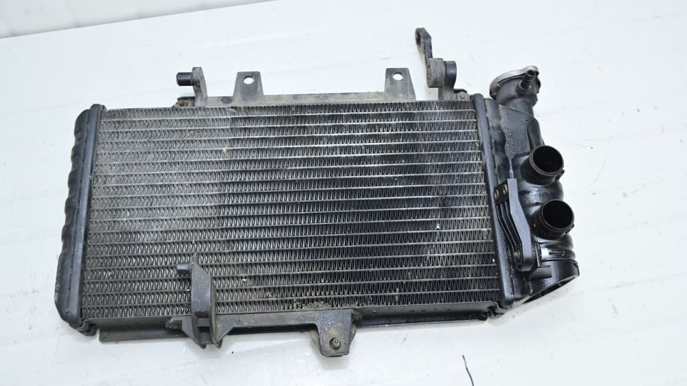 Radiator Apa si protectie BMW F700GS / F650GS / F800GS  2012 - 2016