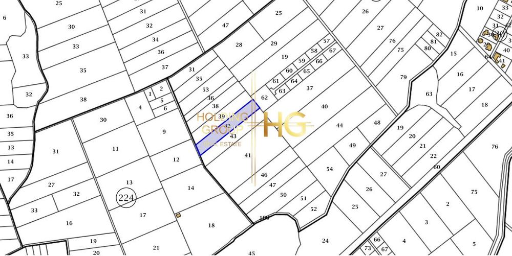Продава се Парцел в с. Осеново, Област Варна - 4000 кв.м за 53 €/кв.м - Снимка #2