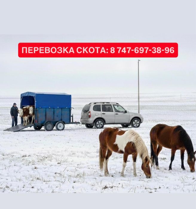 Перевозка скота