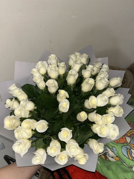 гулдер свежий 51роза