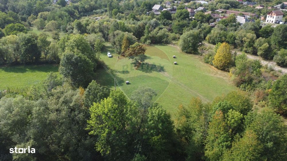 Teren 10.000 mp Calatele – Apuseni, langa rau, ideal investitie turism