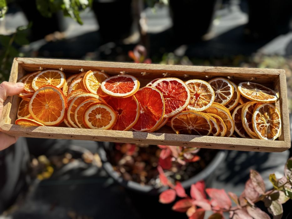 Съшени цитруси за декорация