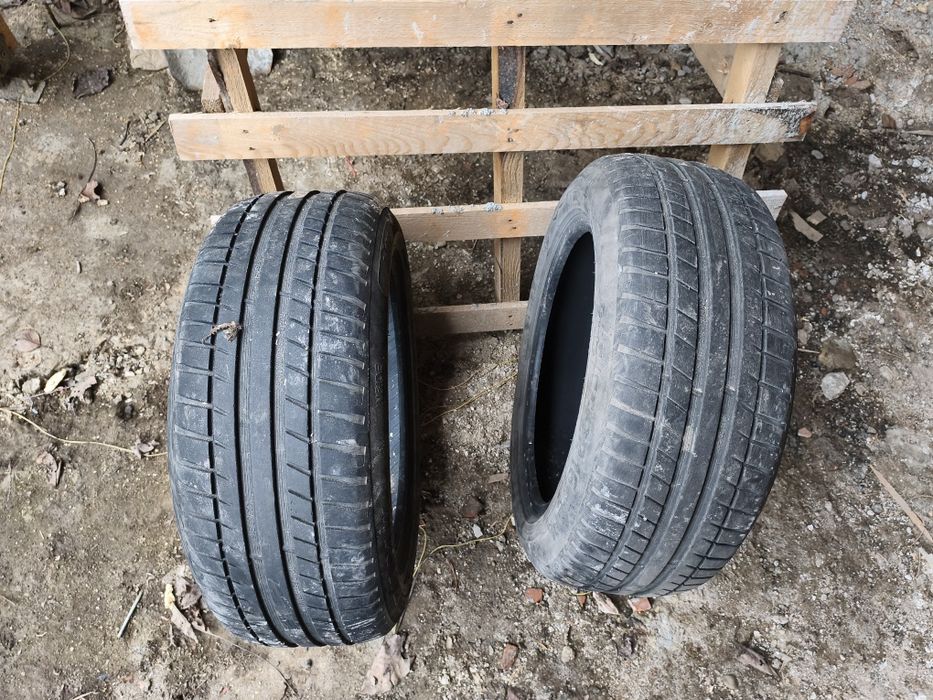 Летни гуми Рикен 205/55/16 цолс