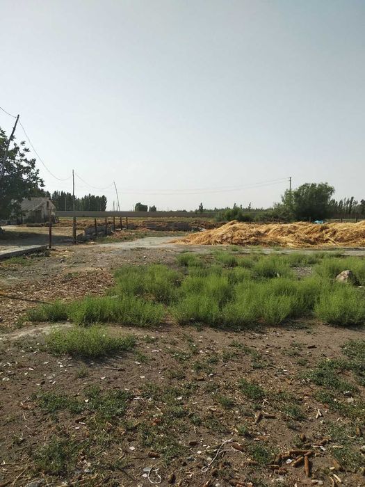 Хусусий ферма сотилади