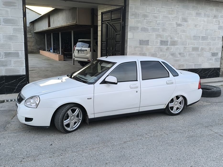 Торрус 16 размер