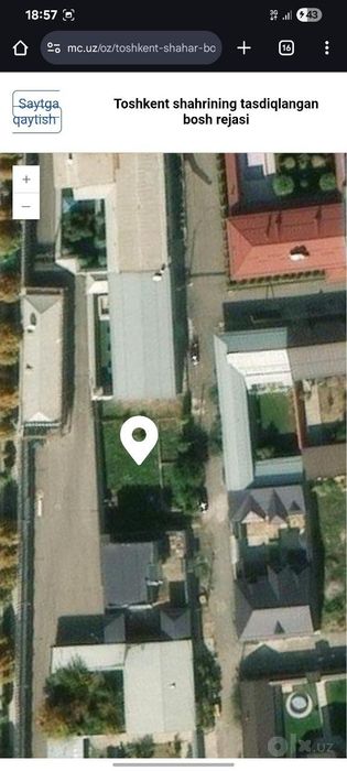 Dormon Archa kocha