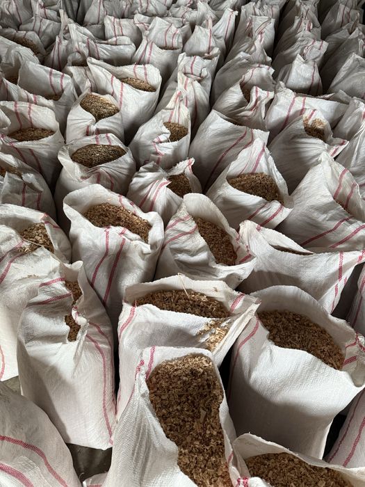 Rumegus fag uscat - pentru afumat