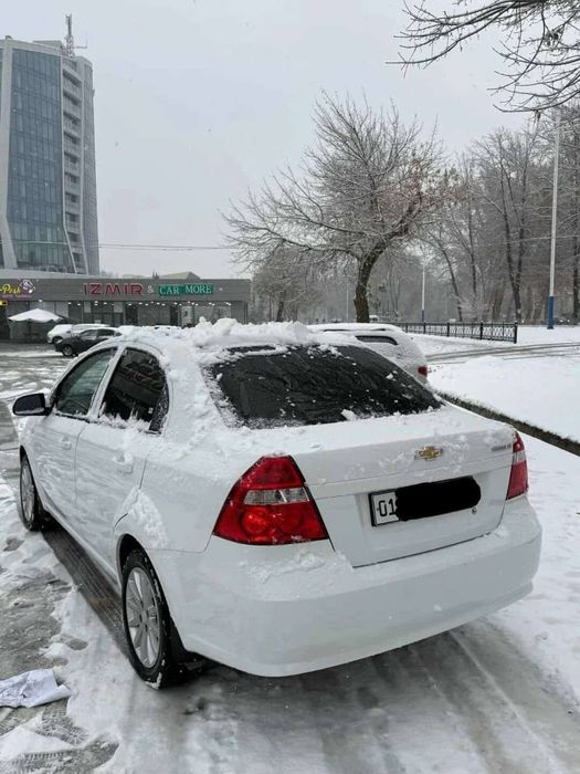 2020 yil kraska radnoy