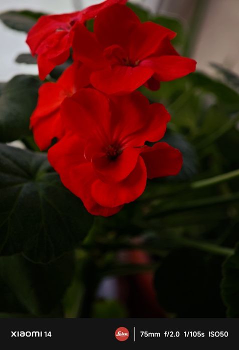 Xiaomi 14  читать внимательно