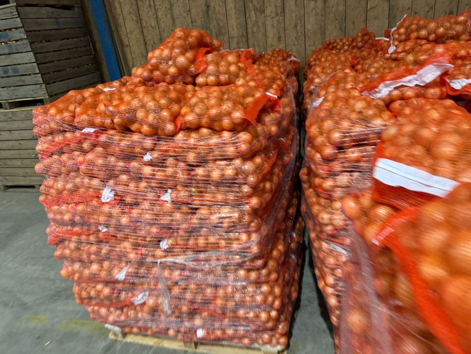 Ceapa nouă 10kg 2025