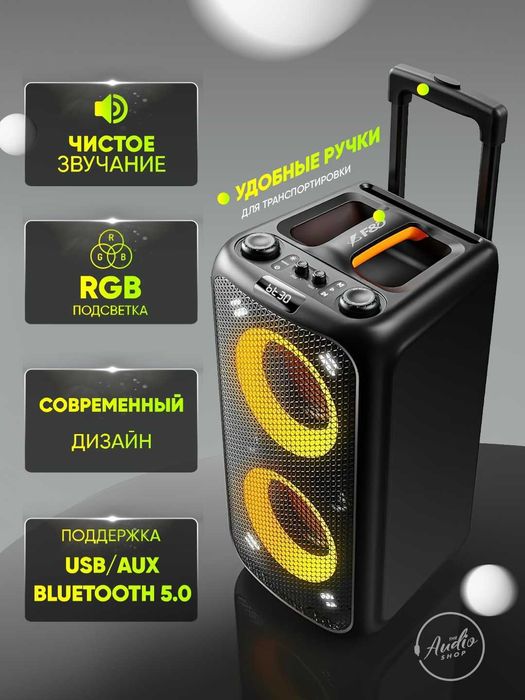 Портативная колонка Fenda PA200 сбеспроводным микрофоном для караоке.