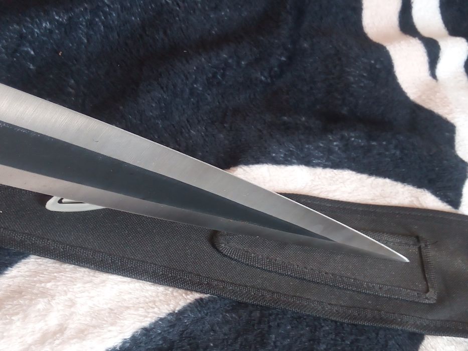 Sabie Ronin, noua, fara probleme