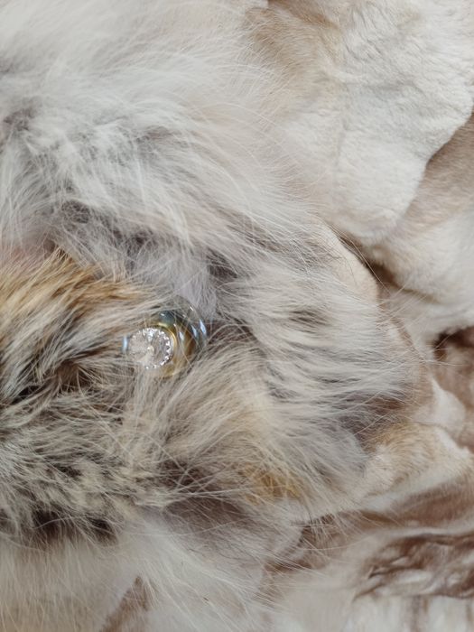 Шуба норковая стильная!