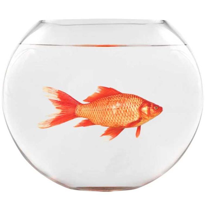 Стъклена ваза с кръгла форма