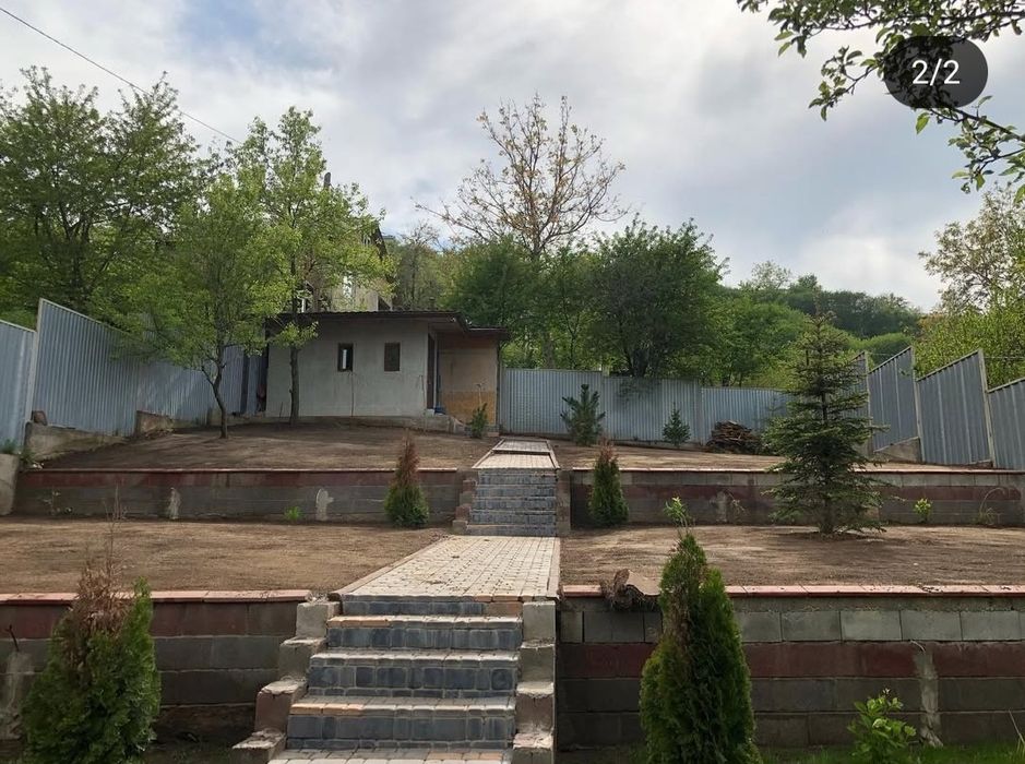 Gazon посевной рулонный