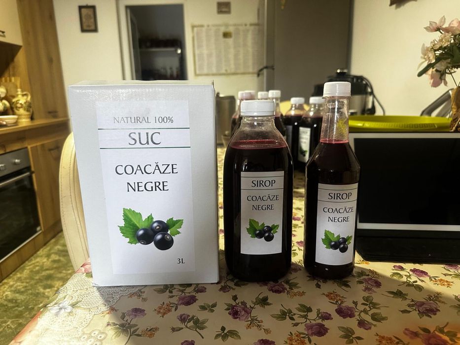 Plantație de coacăze negre de vânzare (afacere la cheie)