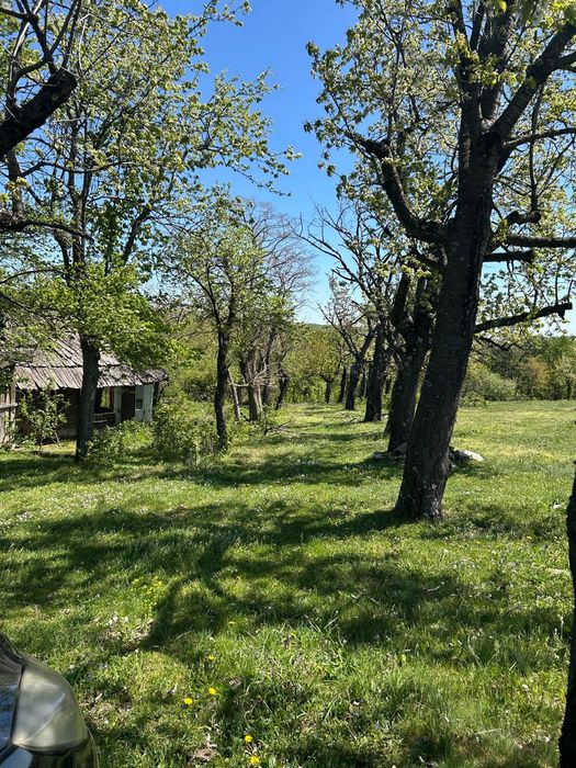 Vand/schimb cu auto teren extravilan