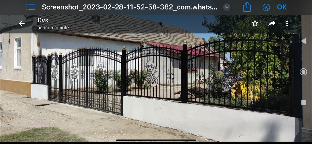 Porți metalice(fier forjat)