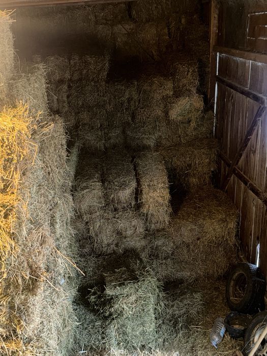 Baloti de fan si lucerna