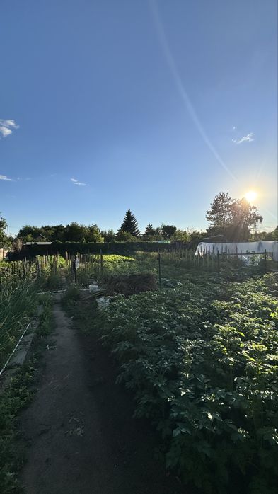 Продаю два замельных участка