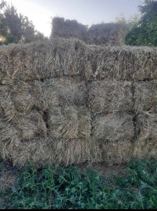 Baloti fan ASIGUR transport