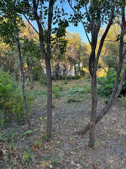 Земельный участок