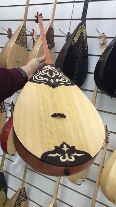 Домбыра кәсіби және әуесқой