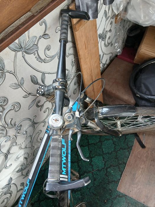 Vesoliped ozgina aybi bor