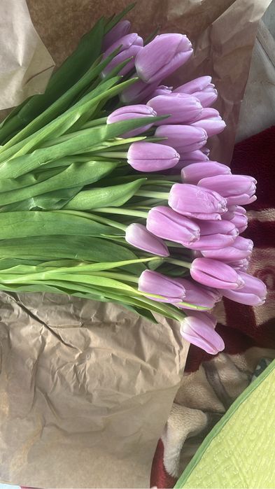 Тюльпаны в наличие и на заказ