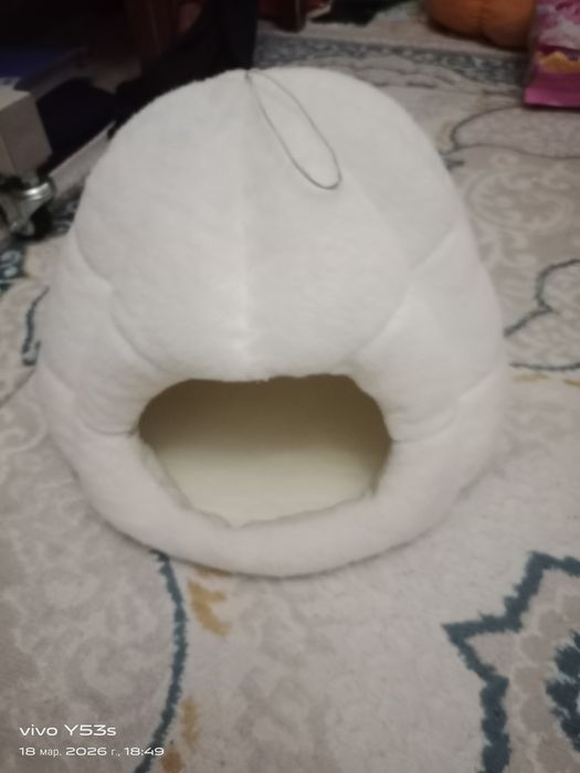 День раздения 11қантар 2026